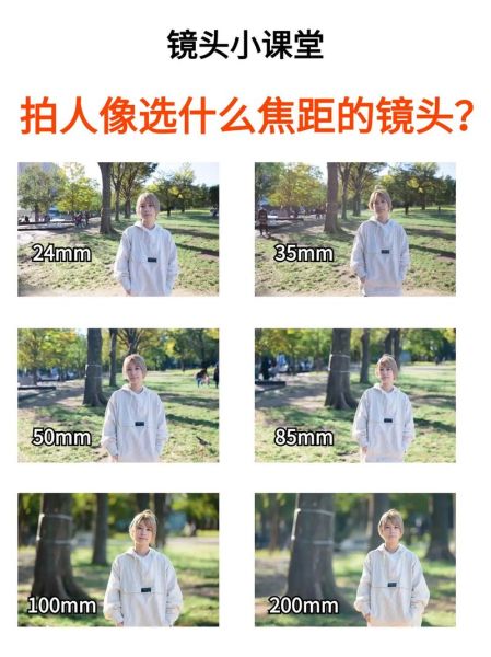 浅焦镜头是什么_浅焦镜头怎么拍-第3张图片-星辰妙记 浅焦镜头是什么_浅焦镜头怎么拍-第3张图片-星辰妙记